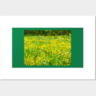 Buttercup Bokeh Posters and Art